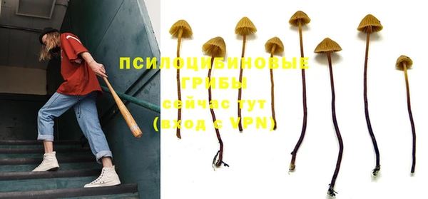 бошки Куйбышев