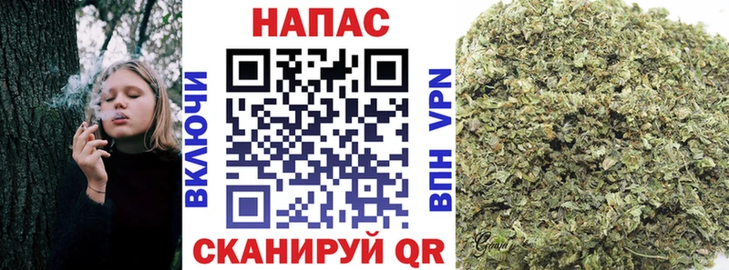 Купить где  Меленки  Каннабис индика 